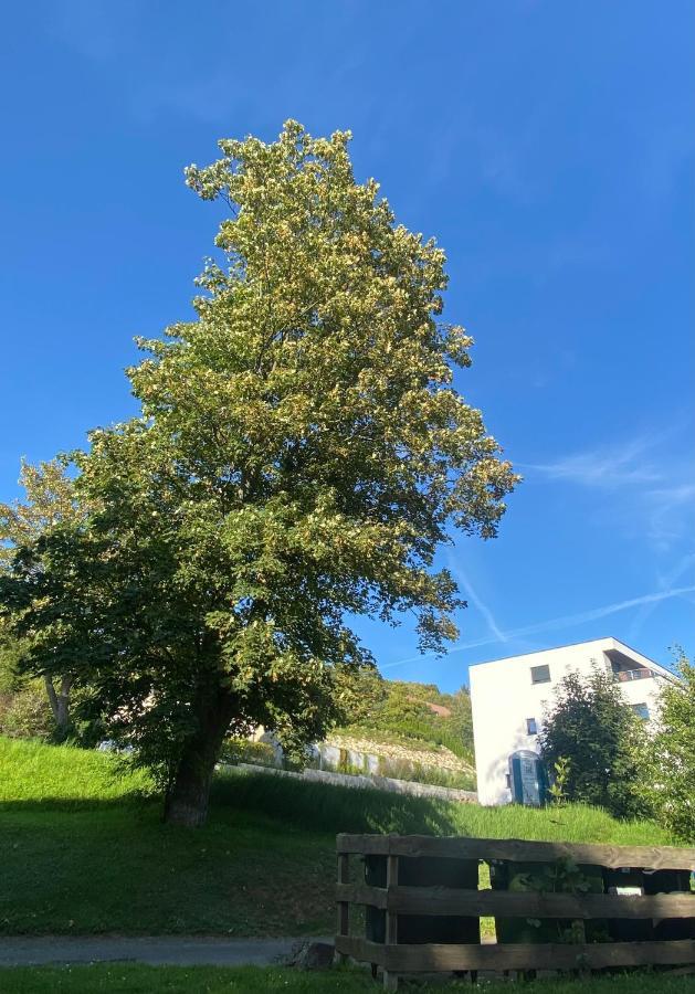 Zentral & Maritim Apartment Harzperle 3 Bad Harzburg Buitenkant foto